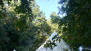 Unclassified image, 2 of 10, button - The Eco Camp (Swanton)