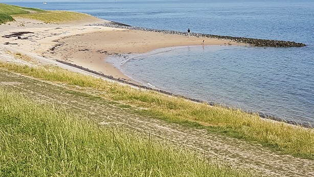 Een kuststrand met een zandrijk strand, een grasveld en een kalme zee.