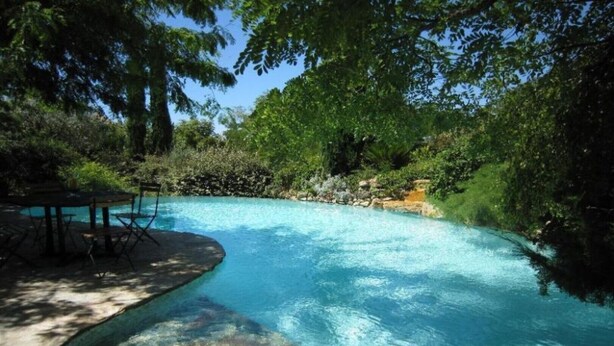Una piscina azul cristalina rodeada de exuberante vegetación y árboles.