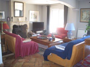 电视、壁炉、DVD 播放器、书