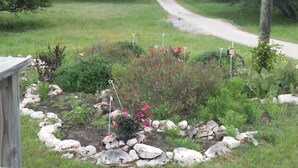 Un jardin agrémenté de diverses plantes et fleurs, une structure en bois et un chemin de gravier.