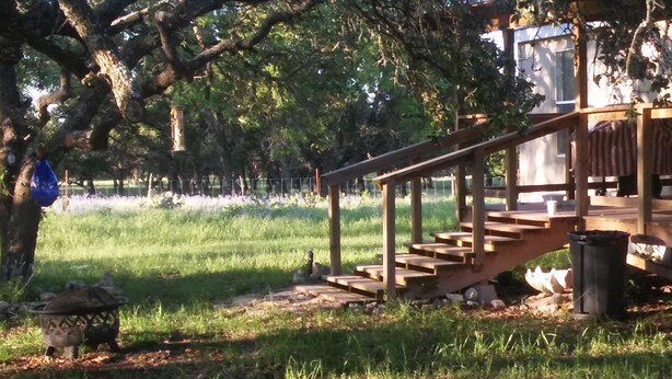 Un escalier en bois mène à un chalet doté d’une rambarde en métal, entouré d’arbres et bordé d’une zone herbeuse.