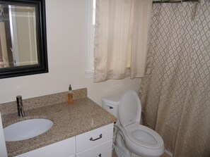 Combined shower/tub, hair dryer
