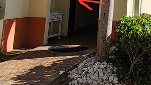 Unclassified image, 4 of 29, button - Beachfront-Level Private Oasis with Power Backup Generator and A/C for all Areas (Luquillo)