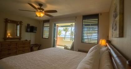 Beachfront-Level Private Oasis with Power Backup Generator and A/C for all Areas