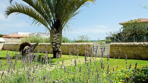 A garden with a palm tree, lavender, and yellow flowers. - GOLDEN SAND - Punta Braccetto  (Punta Braccetto)