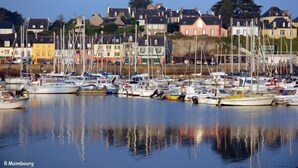 Un port de plaisance où sont amarrés différents types de bateaux, entouré de bâtiments aux couleurs vives.