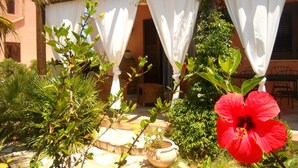 A courtyard with white curtains, a hibiscus flower, and potted plants.