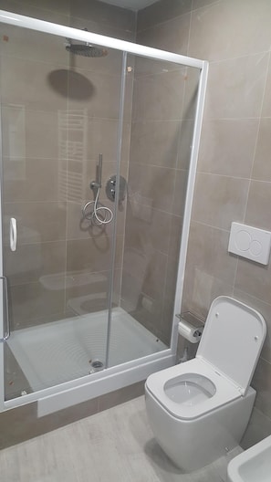 Shower, hair dryer, bidet, towels