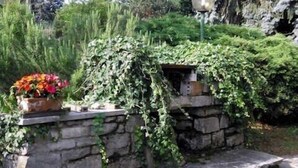 A stone structure with a small opening, surrounded by greenery and a flower pot.