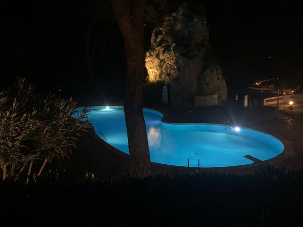 A swimming pool at night with surrounding trees and a rock formation.