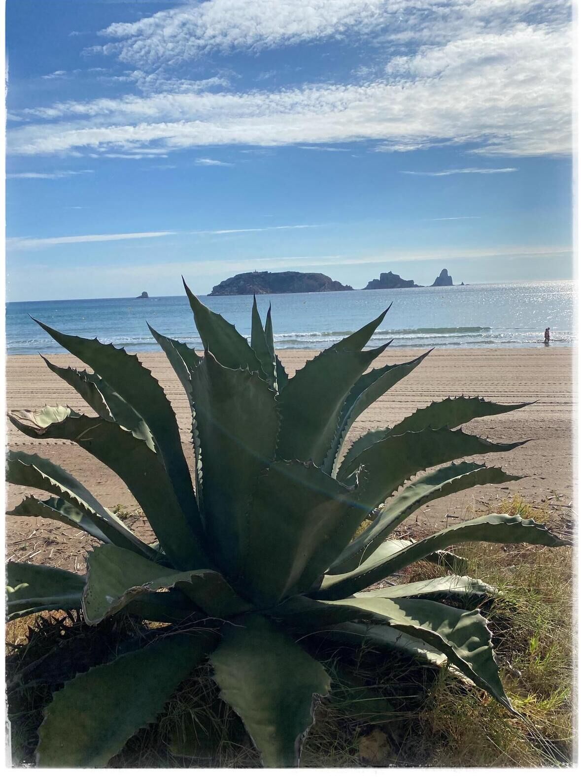Ubicación cercana a la playa y toallas de playa