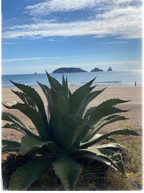 Ubicación cercana a la playa y toallas de playa