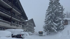 A snow-covered road with a bus, a large evergreen tree, and a building with multiple balconies.