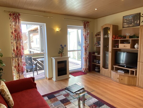 TV, fireplace, DVD player, books
