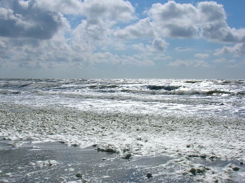 Gemütliches Ferienhaus mit neuer Küche & Bad. Fahrradfreundlich ausgestattet.