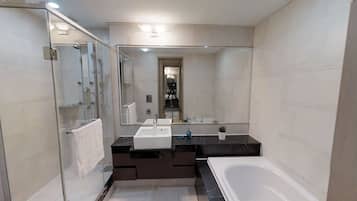 Shower, hair dryer, towels
