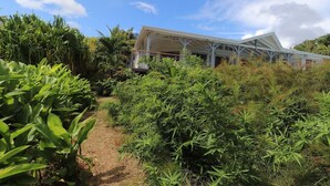 Un edificio moderno con techo blanco y una galería techada, rodeado de exuberante vegetación y palmeras.
