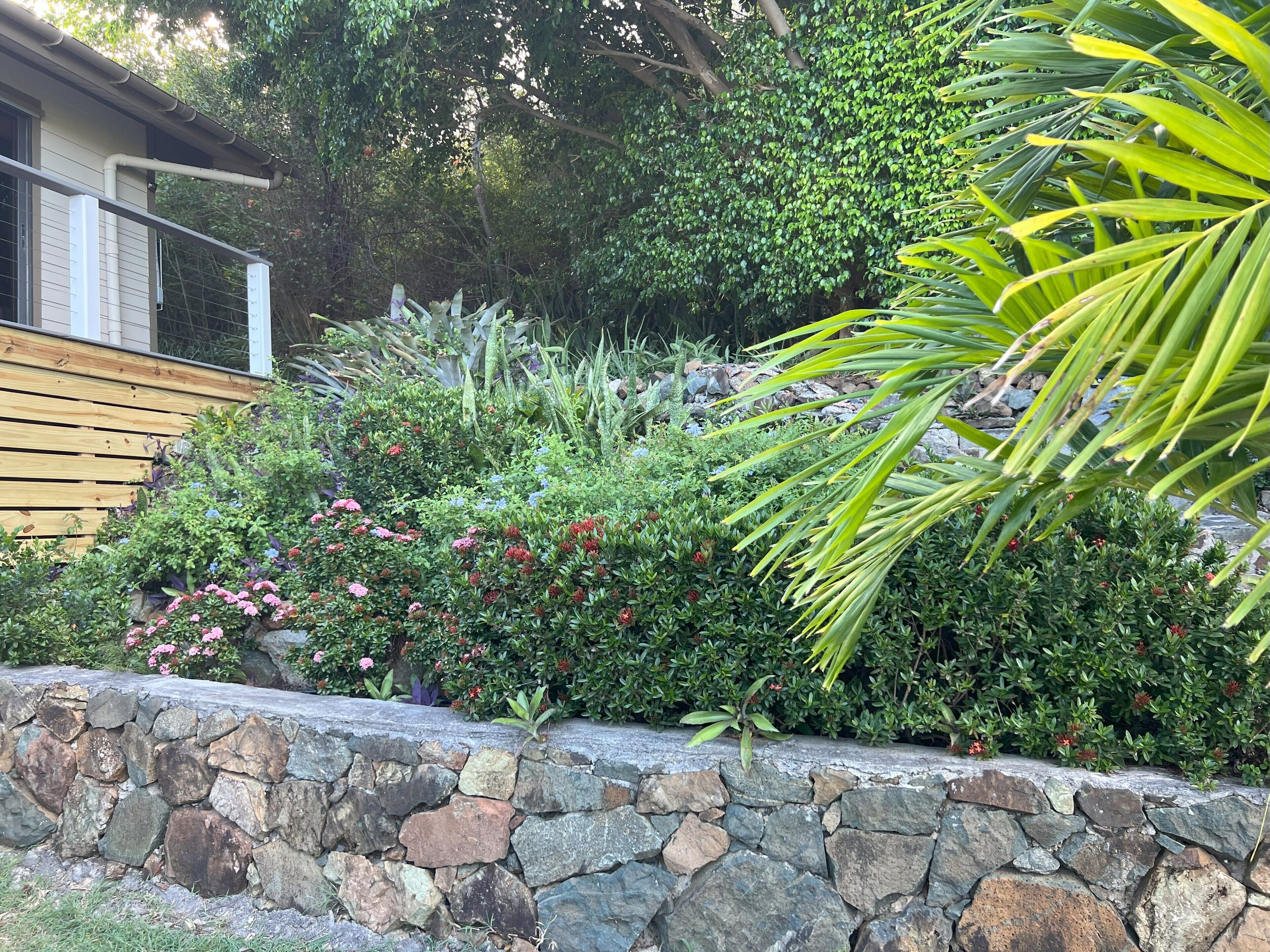 Un muro de piedra con diversas plantas y flores.