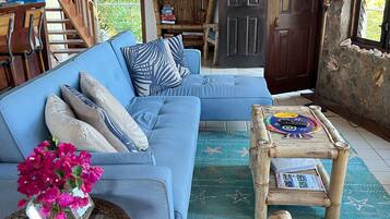 Smart TV, DVD player, books, stereo