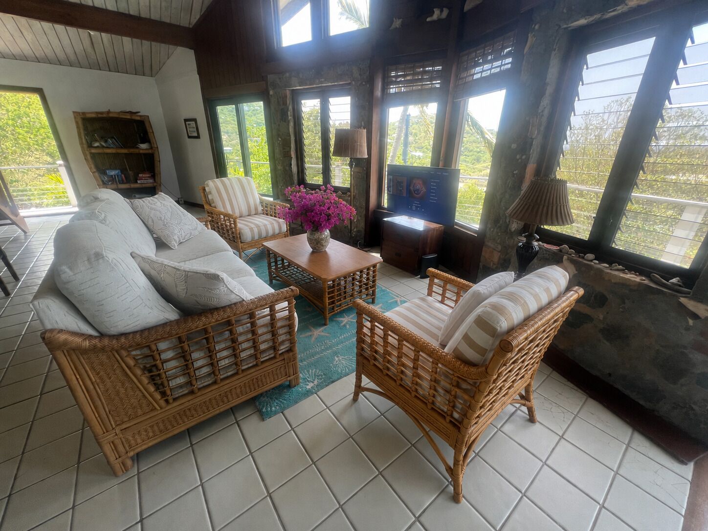 Smart TV, DVD player, books, stereo
