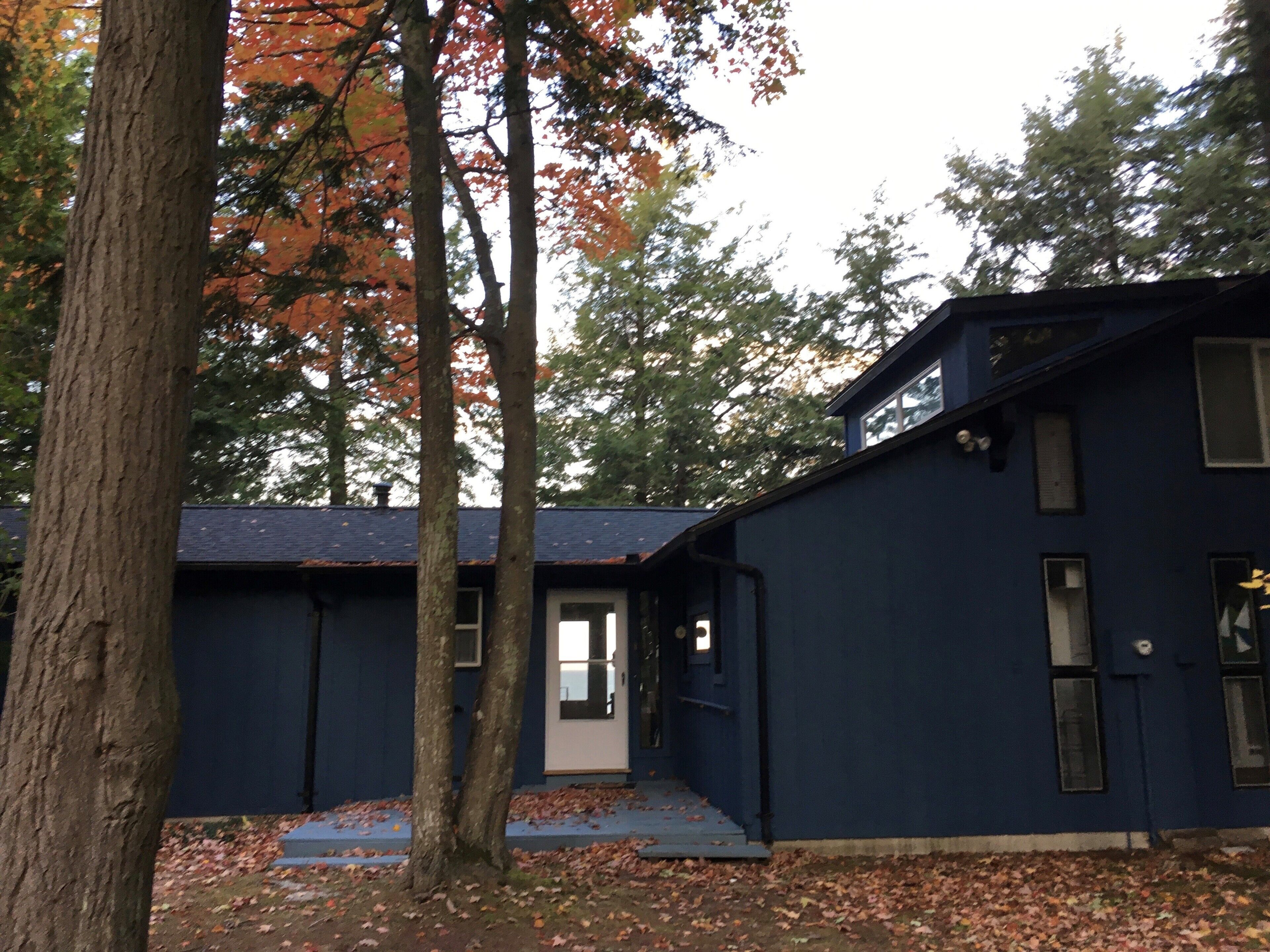 A blue building with a door and windows, surrounded by trees and fallen leaves.