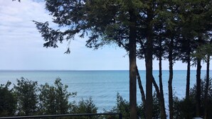 A view of the sea through tall trees, with a metal fence in the foreground. - Charlevoix Cottage: 150ft Lake Michigan Beach, Spectacular Sunsets & Dark Skies. (Charlevoix)