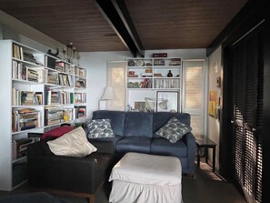 Smart TV, DVD player, books, video library