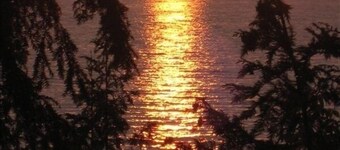 Charlevoix Cottage: 150ft Lake Michigan Beach, Spectacular Sunsets & Dark Skies.