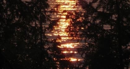 Espectaculares puestas de sol Lago Michigan150 pies. Frente al lago y golf!
