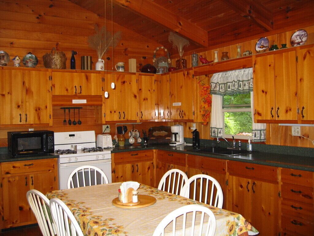 Pet Friendly Toccoa Riverfront Cabin  with 1200' of Riverfront at your back door