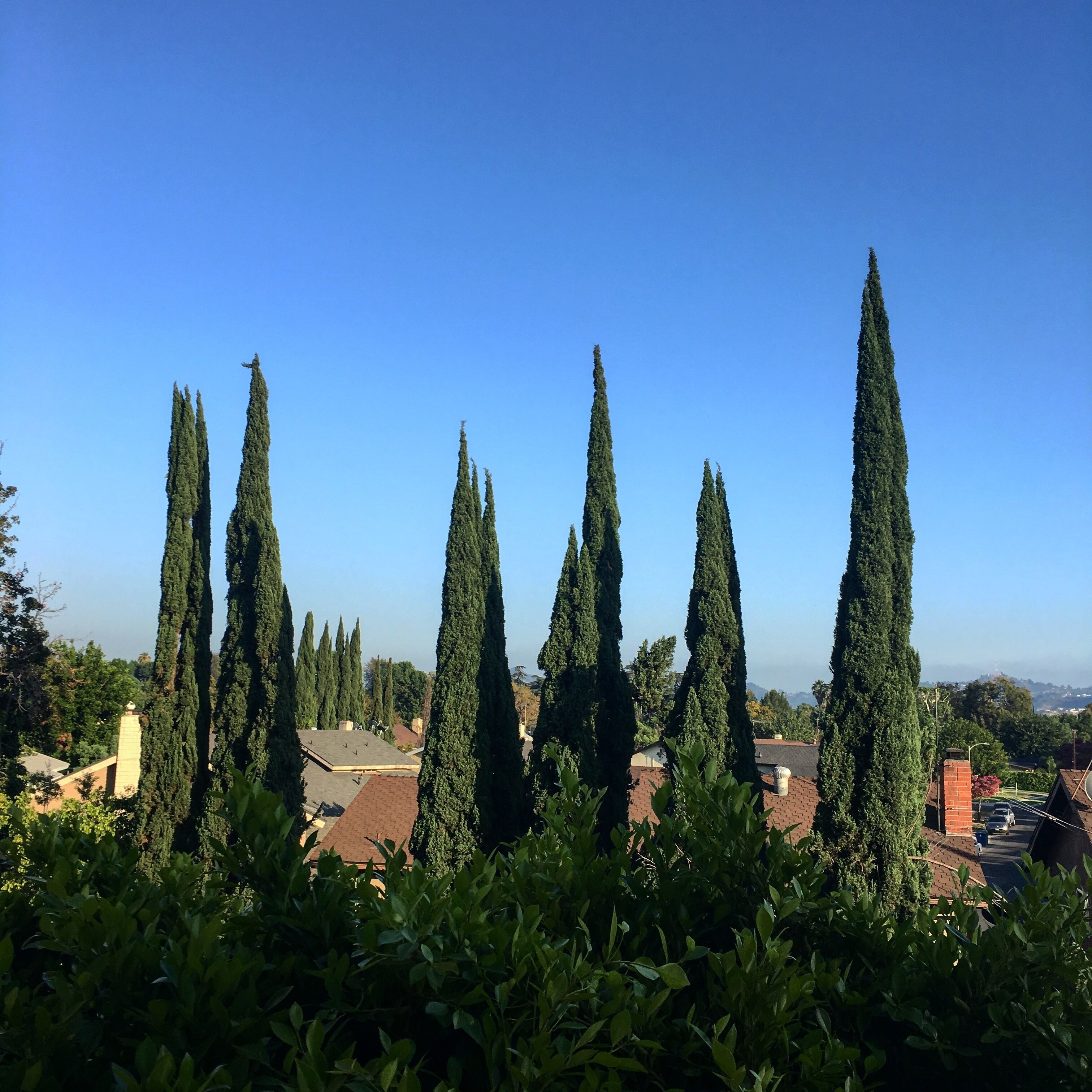 Charming Southern Ca Retreat Close To Everything, Near Los Angeles - Free Wi-fi