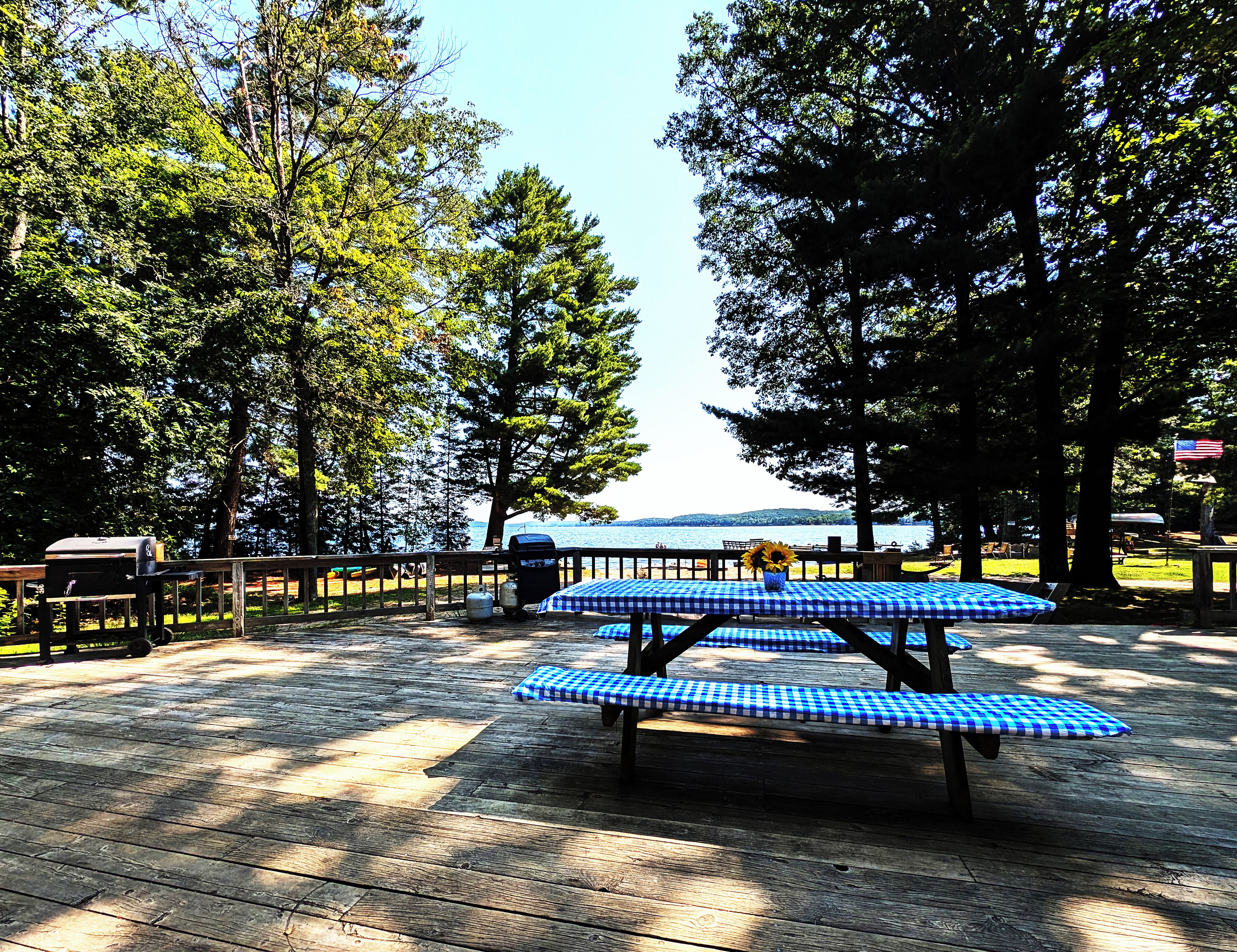 A picnic table with a blue and white checkered tablecloth, surrounded by trees and overlooking a body of water.