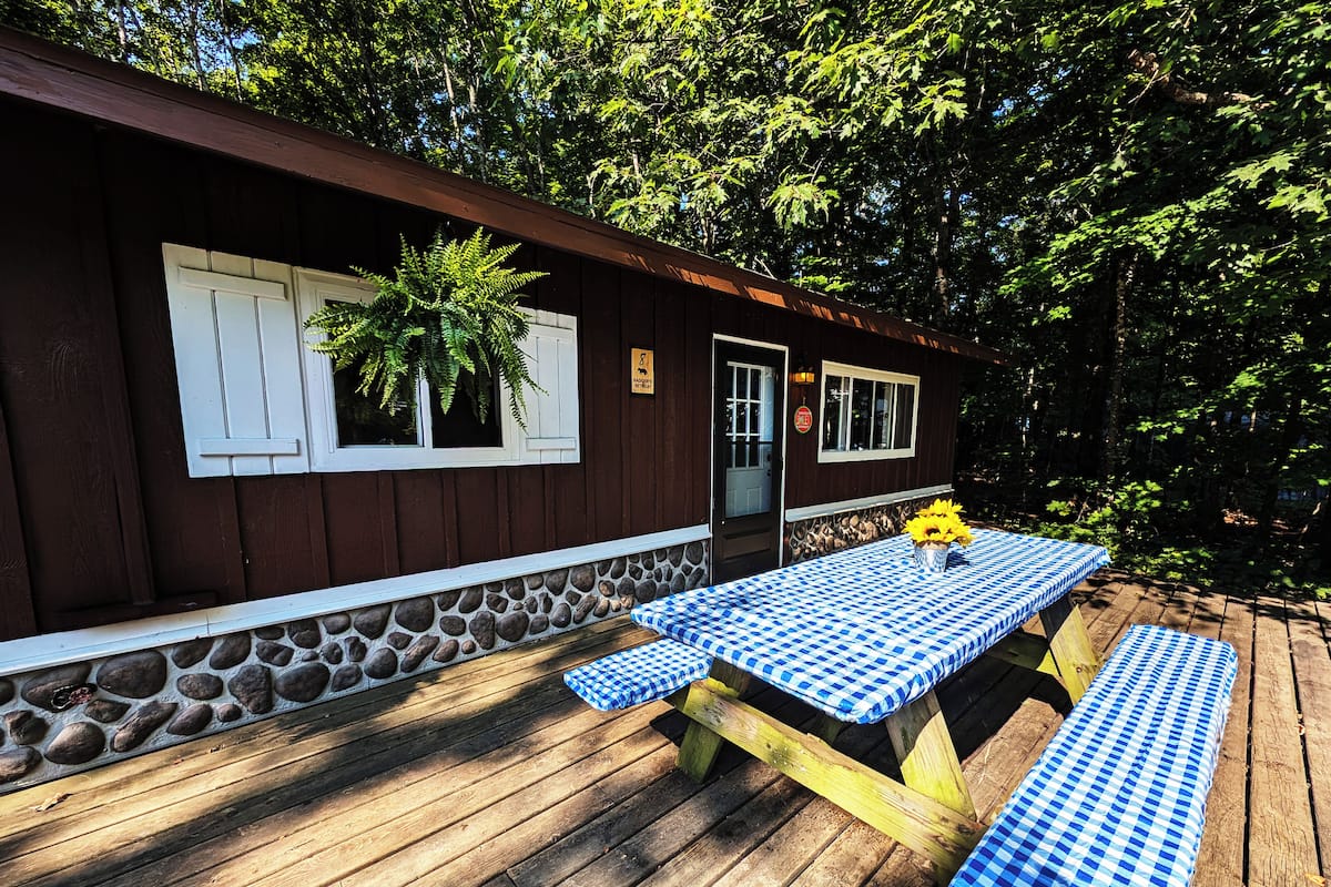 Badger's Retreat - Cabin #8 | Forest View (Premium Amenities Included!) | Terrace/patio