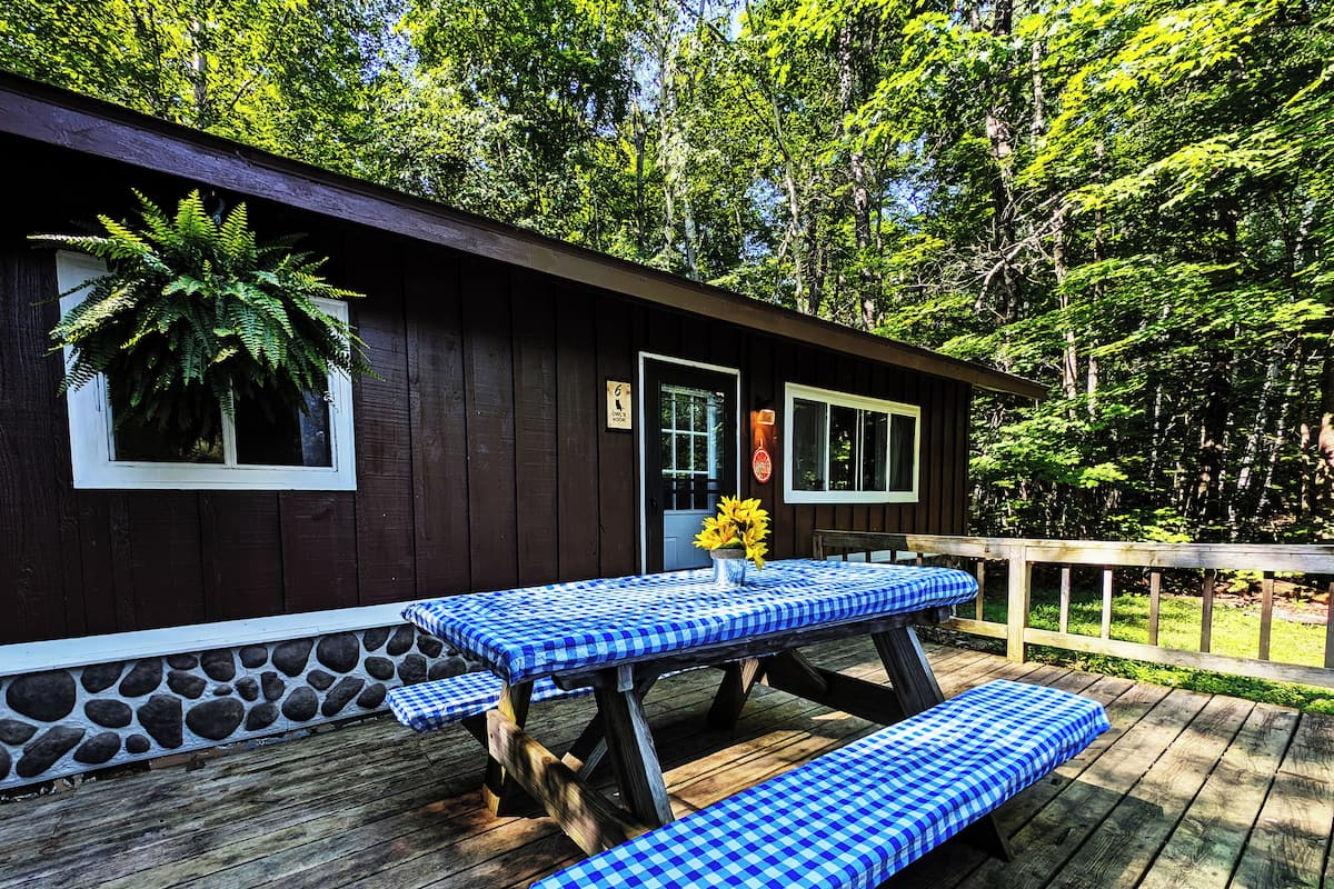Owl's Nest - Cabin #6 | Forest View (Premium Amenities Included!) | Terrace/patio