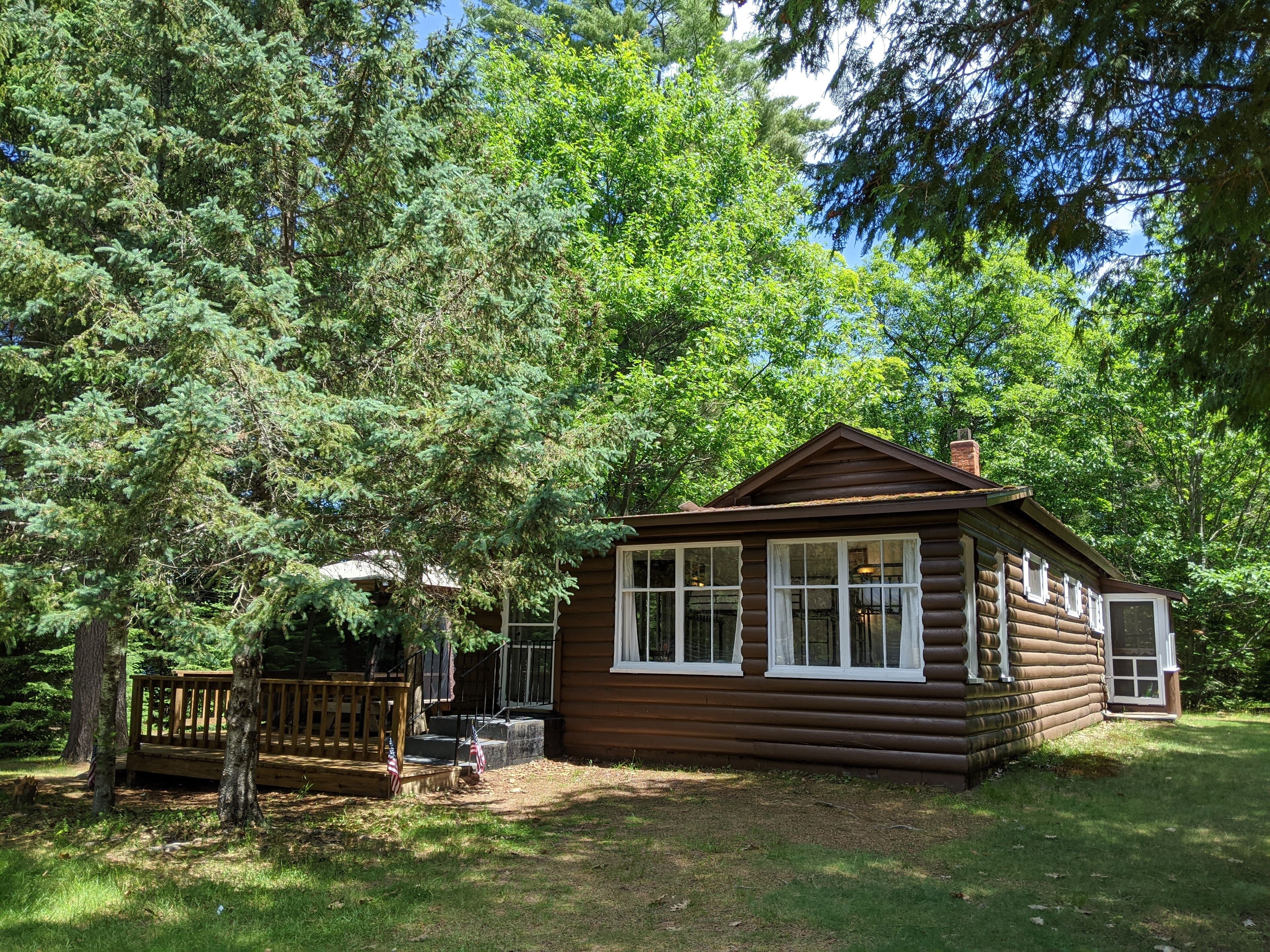 A log cabin with a porch and steps, surrounded by dense forest.