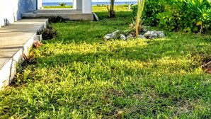 A modern building with a wooden deck, a grassy lawn, and a view of the ocean.