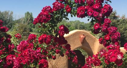 Old Taos Guesthouse B&B