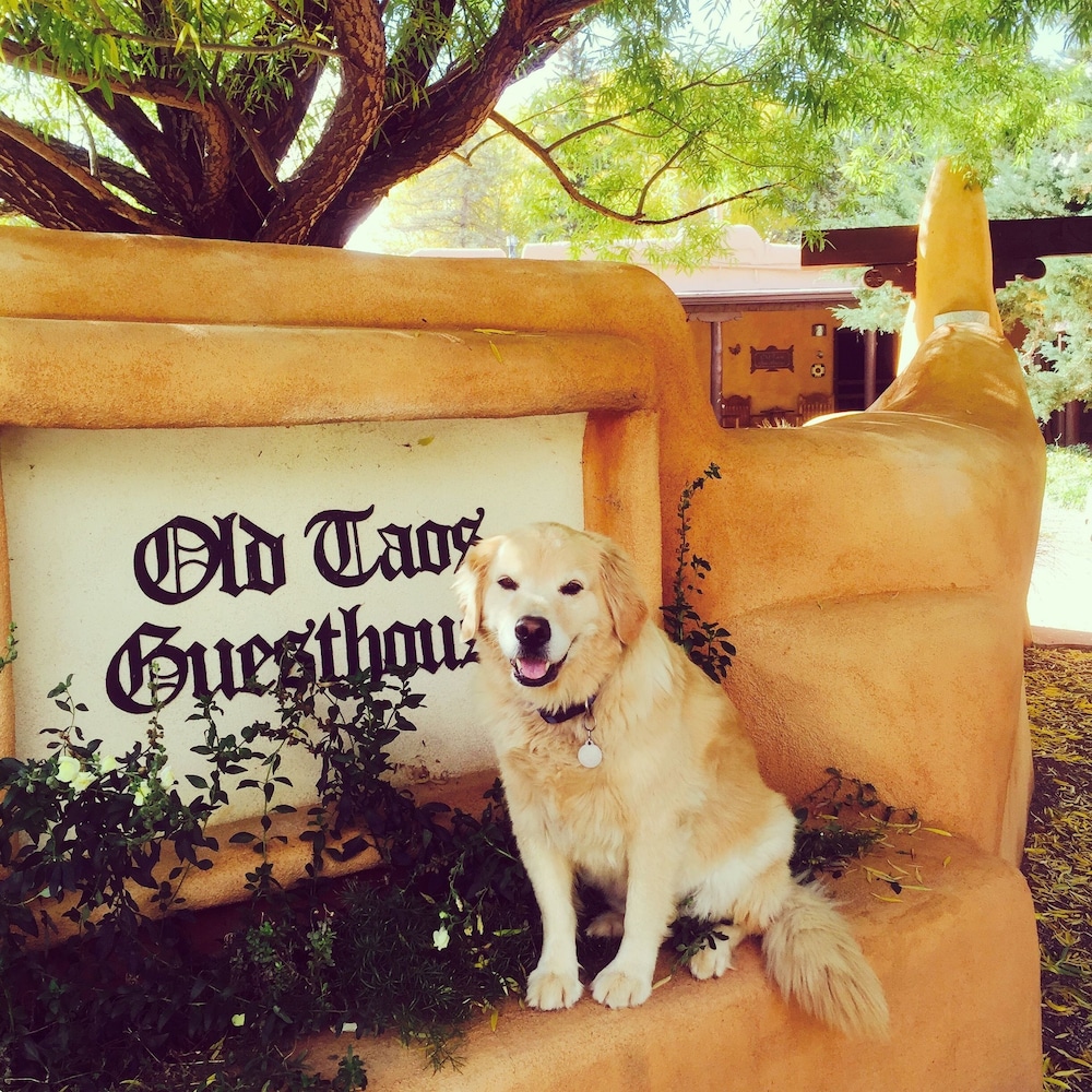 Old Taos Guesthouse by null