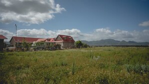 Garden - Hacienda Valdez (Valle de Guadalupe)