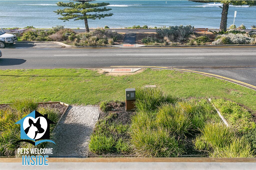 Voted TOP 10 holiday home in Stayz 2021 Holiday Home Awards — image 6