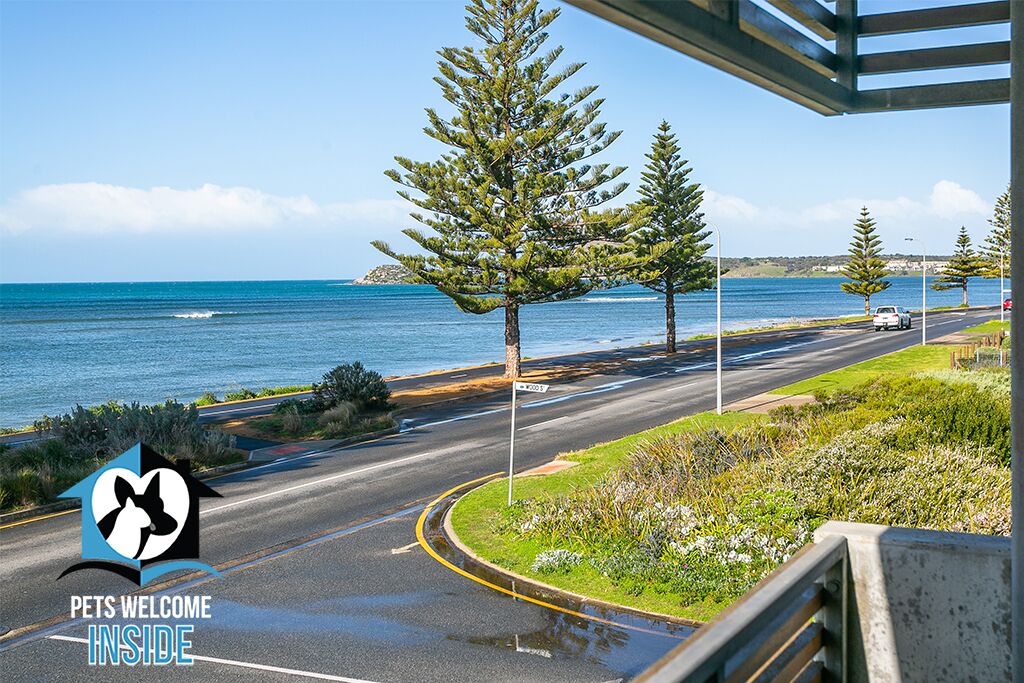 Voted TOP 10 holiday home in Stayz 2021 Holiday Home Awards — image 5