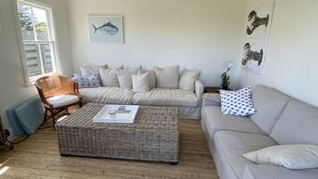 Smart TV, DVD player, books, video library