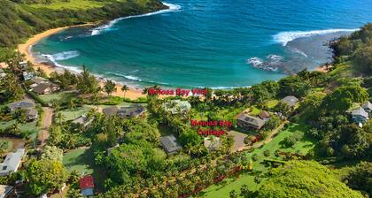 THIS IS IT! DREAMY BEACH, STUNNING VIEWS, AMAZING LOCATION!