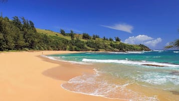 Ubicación a pie de playa, tumbonas y toallas de playa