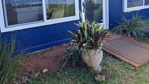 A house with large windows, a blue exterior, and a view of the ocean. - Relax & Unwind: Private Beachfront Escape with Stunning Views, Amazing! AC 1328 (Anahola)