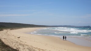 Playa en los alrededores, camastros y toallas de playa 