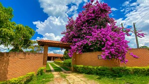 A brick wall with a pergola covered in purple flowers leading to a building with a tiled roof.