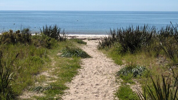 Un sentier de sable qui longe la plage et mène à l’océan, bordé d’herbe et de végétation.