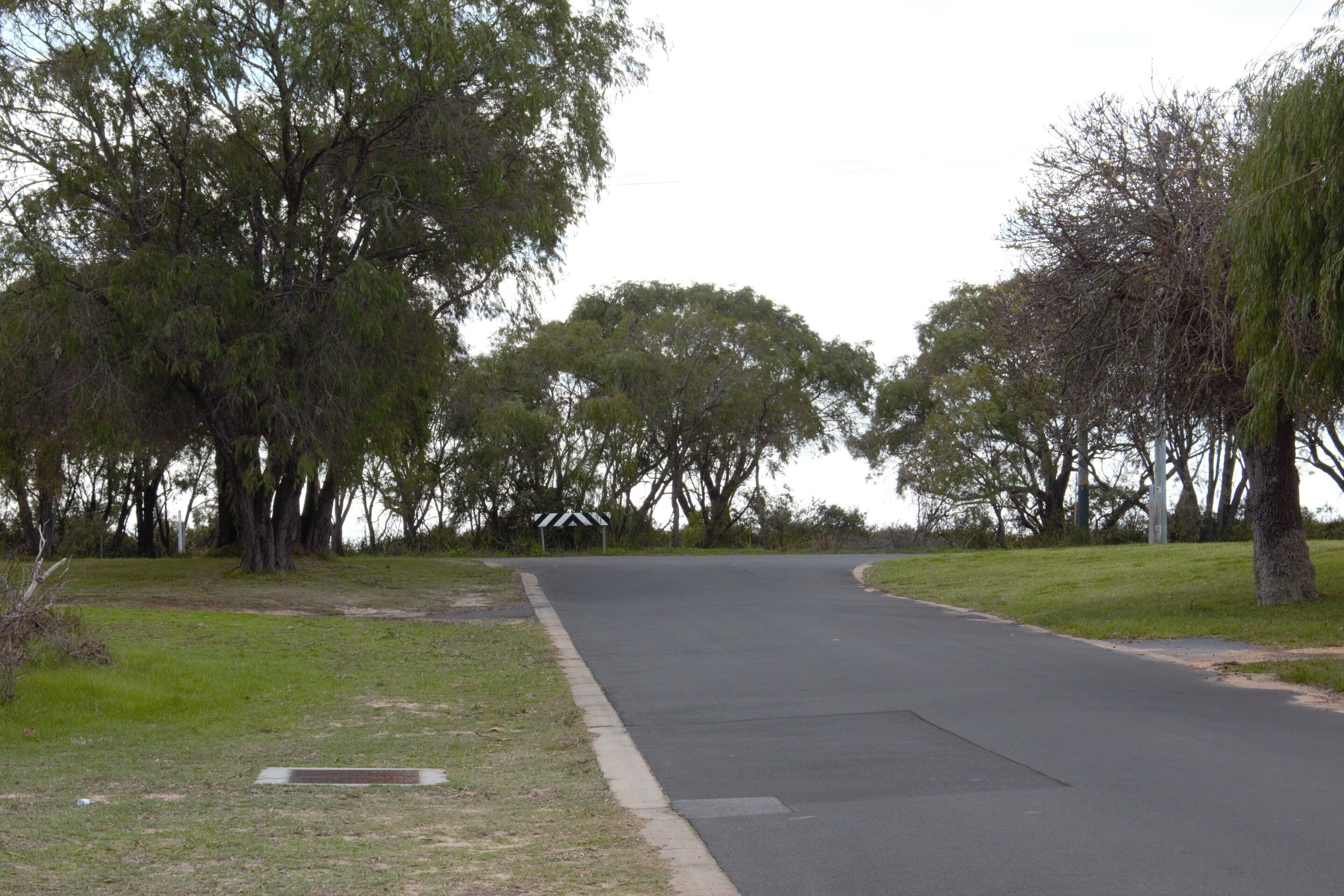 A road with trees on both sides, a grassy area, and a road sign in the distance.
